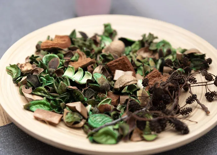 Park Szczytnicki 2-bedroom By Bookinghost Апартаменты